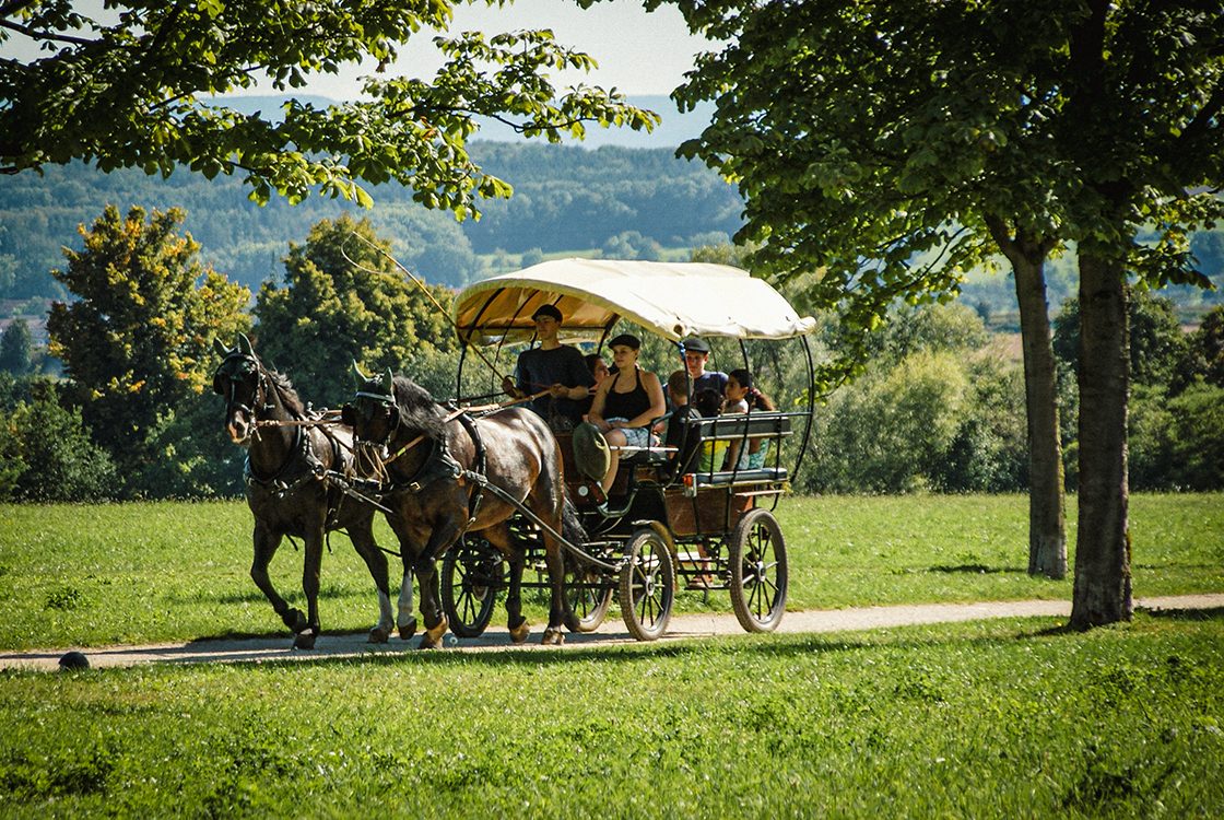 Kutsche in der Natur